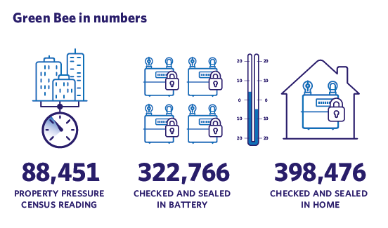 Green Bee in numbers